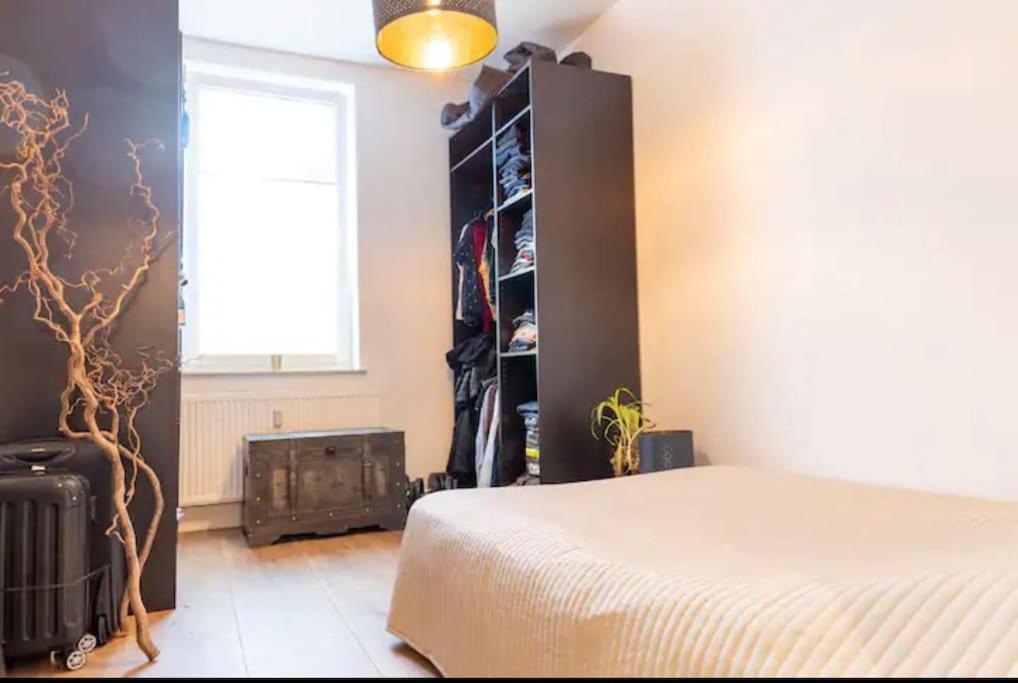 Design Apartment Im Zentrum Von Nienburg! نينبورغ المظهر الخارجي الصورة
